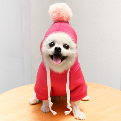 Suéter Otoñal con Diseño de Perro y Gato para Mascotas - Image 15
