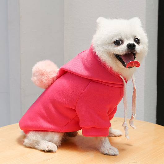 Suéter Otoñal con Diseño de Perro y Gato para Mascotas - Image 16