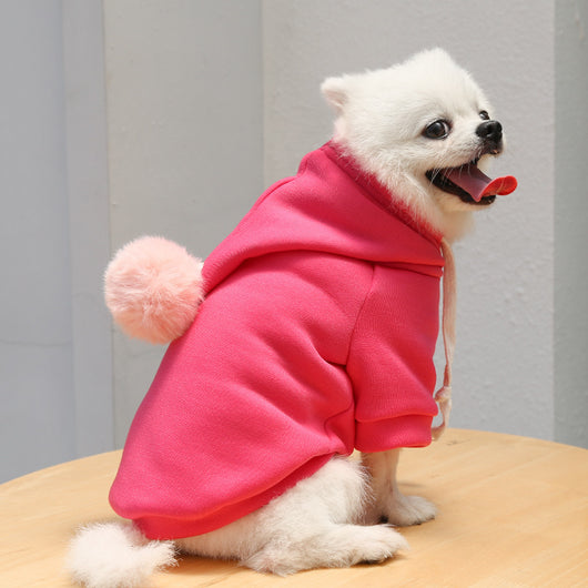 Suéter Otoñal con Diseño de Perro y Gato para Mascotas - Image 17