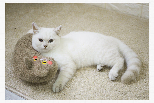 Almohada Gato Dormilon - Cama Suave para Mascotas Sansheng Meow - Image 9