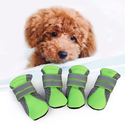 Botas Impermeables para Perros Teddy - Protección Total - Image 8