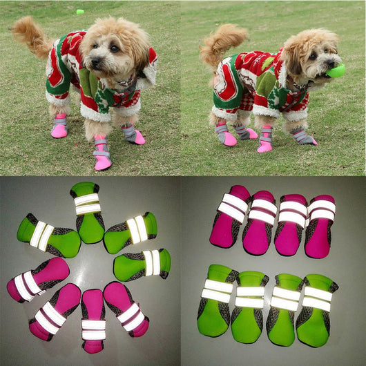 Botas Impermeables para Perros Teddy - Protección Total - Image 9