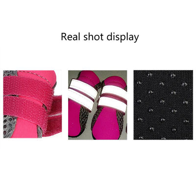 Botas Impermeables para Perros Teddy - Protección Total - Image 10