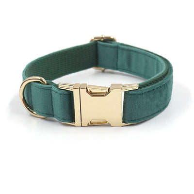 Collar y Correa para Perro en Terciopelo Verde - Image 13