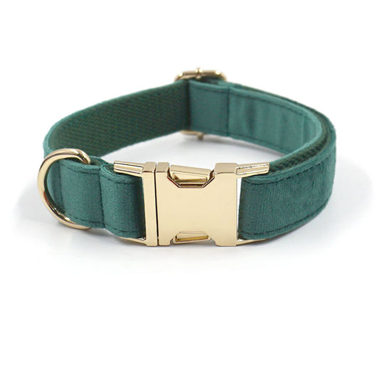 Collar y Correa para Perro en Terciopelo Verde - Image 13