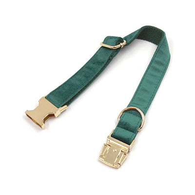 Collar y Correa para Perro en Terciopelo Verde - Image 14