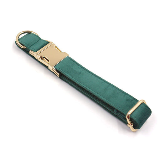 Collar y Correa para Perro en Terciopelo Verde - Image 15