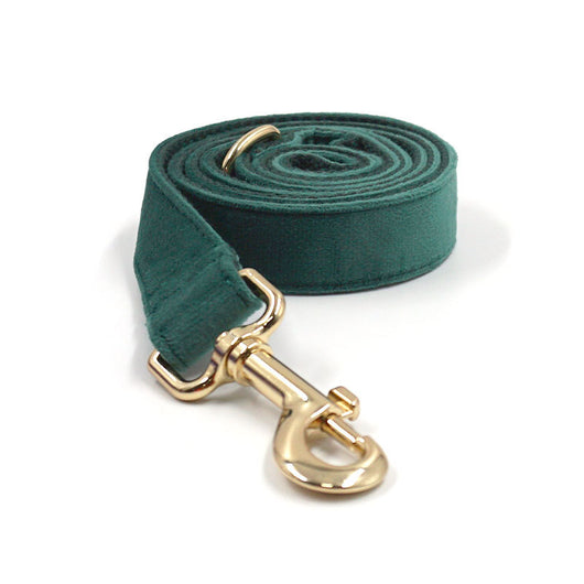 Collar y Correa para Perro en Terciopelo Verde - Image 17