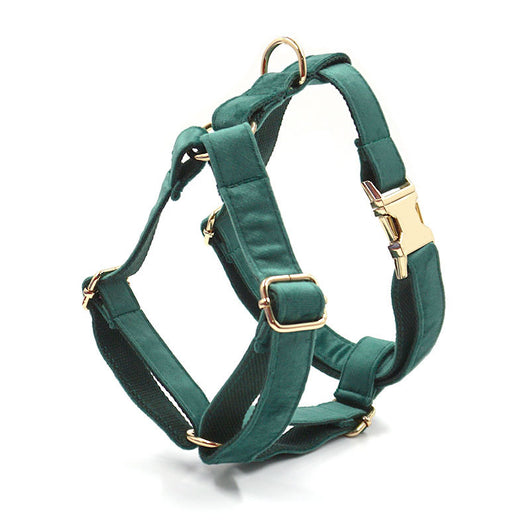 Collar y Correa para Perro en Terciopelo Verde - Image 18