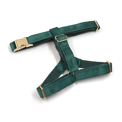 Collar y Correa para Perro en Terciopelo Verde - Image 19
