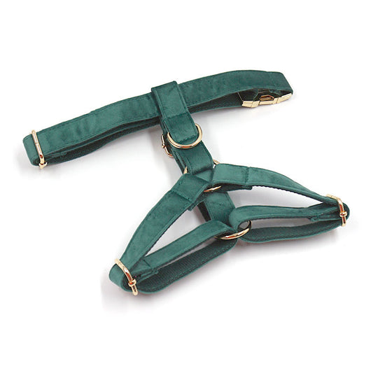 Collar y Correa para Perro en Terciopelo Verde - Image 20