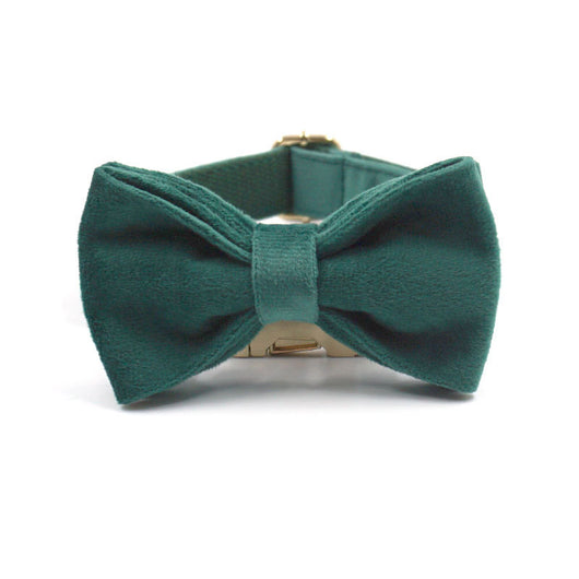 Collar y Correa para Perro en Terciopelo Verde - Image 24