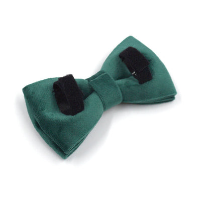 Collar y Correa para Perro en Terciopelo Verde - Image 27