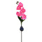 Luz Solar LED Flor Orquídea con 5 Cabezales