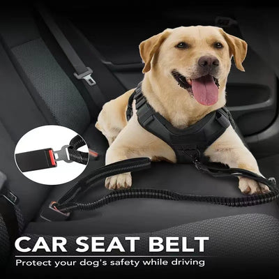 Correa de Seguridad Táctica para Perros con Hebilla de Rana - Image 12