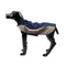 Impermeable Térmico para Perros - Traje de Tormenta Transpirable