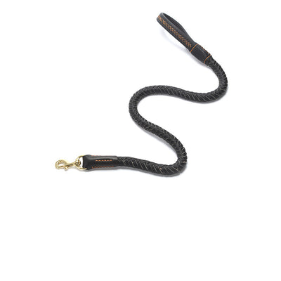 Correa de Perro Reforzada con Cadena Antiroturas para Razas Medianas y Grandes - Image 7