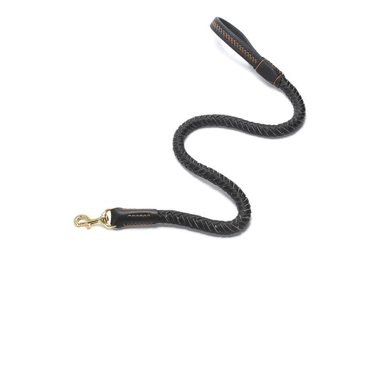 Correa de Perro Reforzada con Cadena Antiroturas para Razas Medianas y Grandes - Image 7