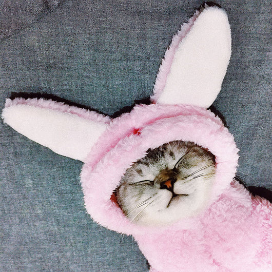 Ropa para Gatos y Gatitos - Diseños Divertidos y Adorables - Image 10