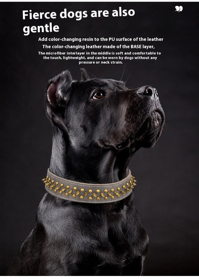 Collar de Cuero para Mascotas con Remaches - Tallas Mediana y Grande - Image 14