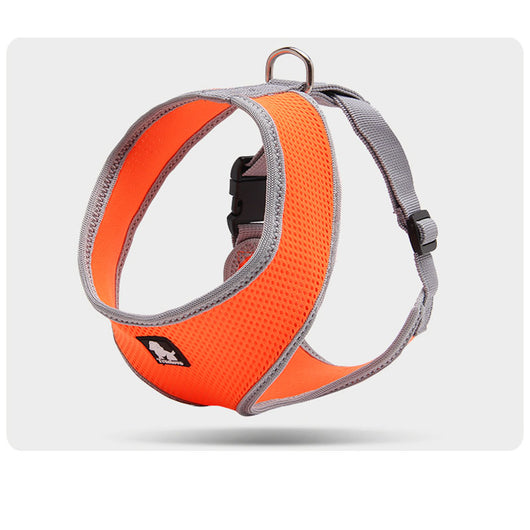 Correa de Paseo Resistente para Perros Pequeños - Image 10