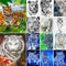 Cuadro de Diamantes Tigre Completo - Pintura DIY con Taladros Redondos y Cuadrados