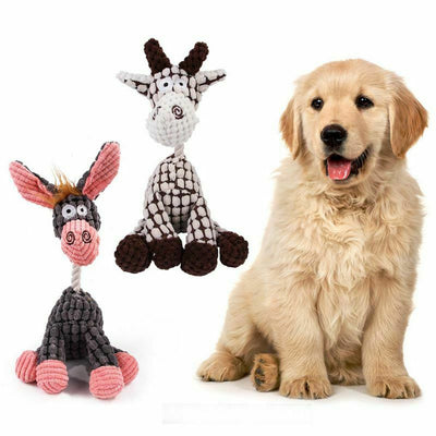 Juguete Interactivo para Perros con Sonido Chirriante y Limpieza Dental - Image 17