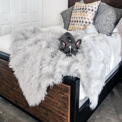 Cama Térmica Premium para Perros - Almohadilla Gruesa de Invierno - Image 2