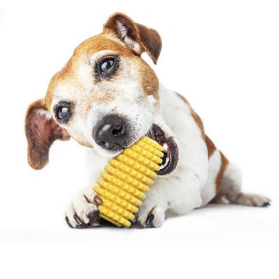 Juguete Masticable Resistente con Forma de Mazorca de Maíz para Perros - Image 5