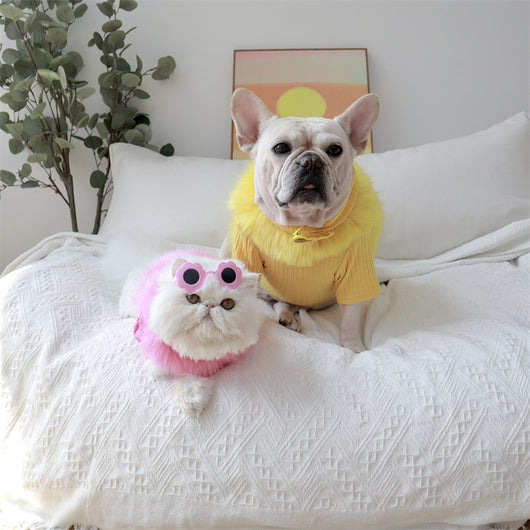 Ropa de Invierno para Perros - Abrigo Cálido y Grueso - Image 12