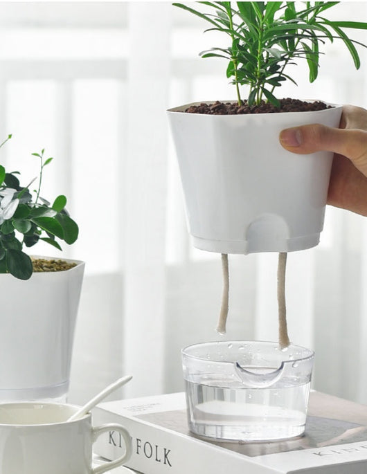 Maceta Hidropónica Automática con Sistema de Riego Autónomo - Image 13