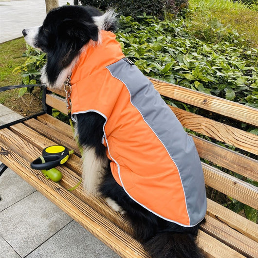 Abrigo Deportivo para Mascotas - Protección Otoño e Invierno - Image 4