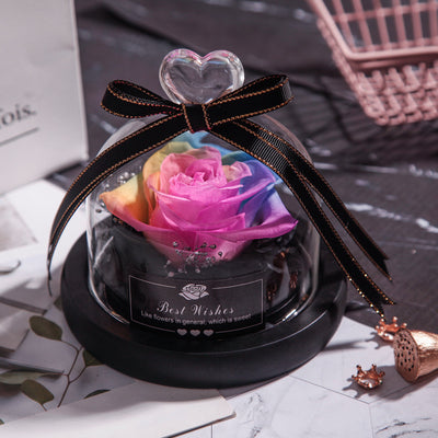 Rosas Eternas con LED en Vidrio - Flores Secas para Decoración y Regalos - Image 12
