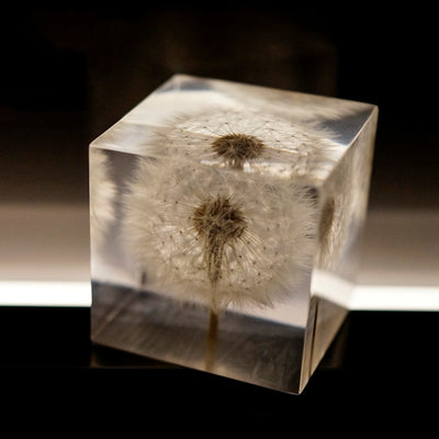 Cubo de Resina con Diente de León - Decoración Artesanal de Escritorio - Image 4