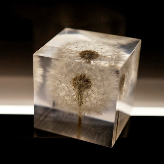 Cubo de Resina con Diente de León - Decoración Artesanal de Escritorio - Image 4