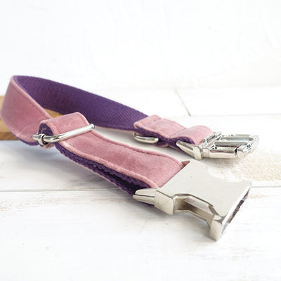 Collar Rosa para Perro - Image 3