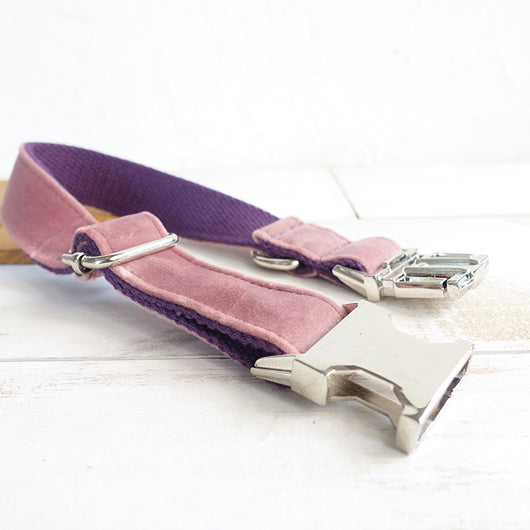 Collar Rosa para Perro - Image 3