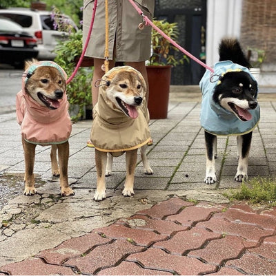 Impermeable para Perros Grandes - Seguridad y Comodidad Garantizadas - Image 8