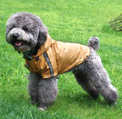 Impermeable con Capucha Cálido para Perros - Image 7