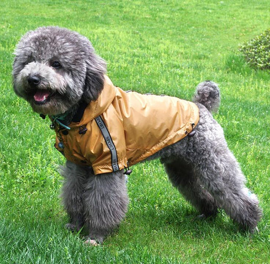 Impermeable con Capucha Cálido para Perros - Image 7
