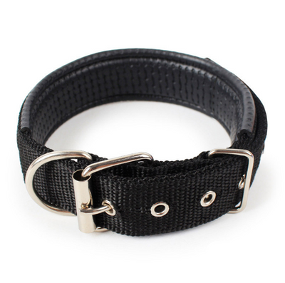 Collar para Mascotas con Forro de Cuero Suave y Espuma Protectora - Image 6