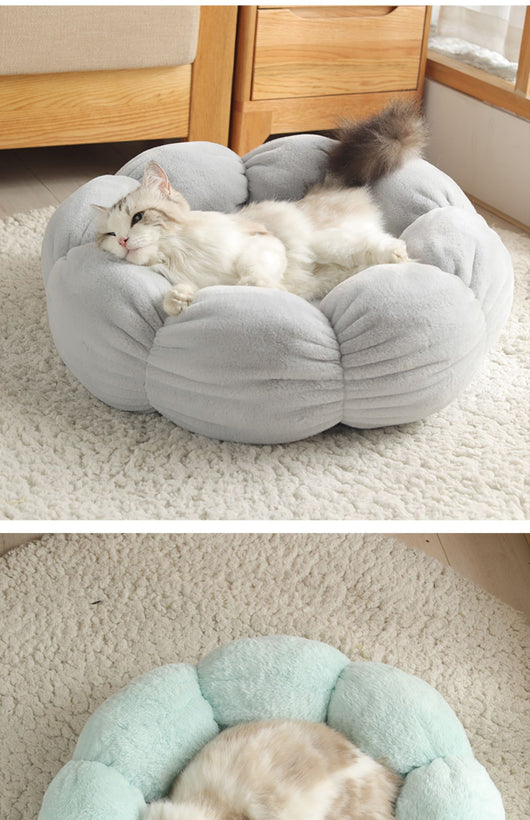 Arena para Gatos Premium Gruesa y Térmica - Image 3