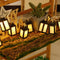 Warm Light Lantern 2m 10 Lights with Battery Box