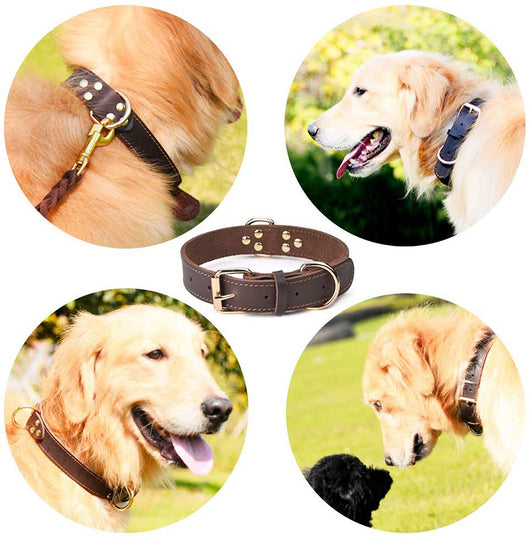 Collar para Perro de Cuero Genuino - Image 5