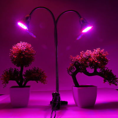 Lámpara LED de Cultivo Dual 10W con Pinza de Escritorio y Cuello Flexible - Image 4