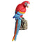 Rojo Parrot
