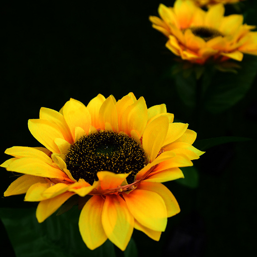 Lámparas Solares Decorativas Girasol con LED - Image 8