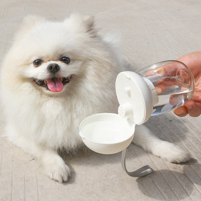 Bebedero Portátil Plegable para Mascotas - Gatos y Perros - Image 15