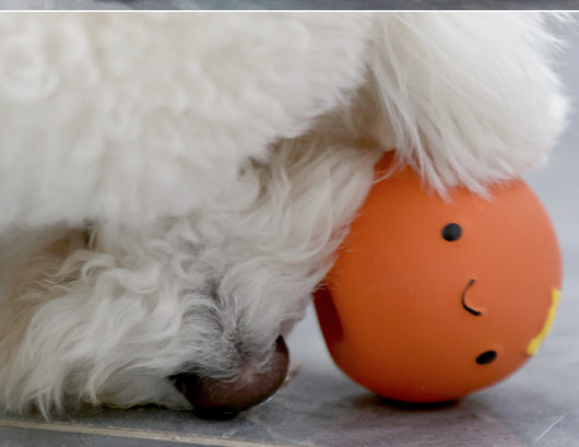 Juguete de Látex para Perros Pequeños y Medianos con Sonido - Huevo Multicolor - Image 9