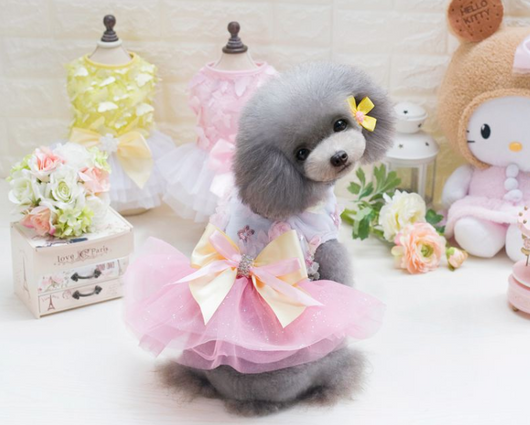 Vestido Tutú Princesa para Perro - Malla Transpirable Primavera Verano - Image 5